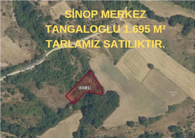 Fotoğraf
